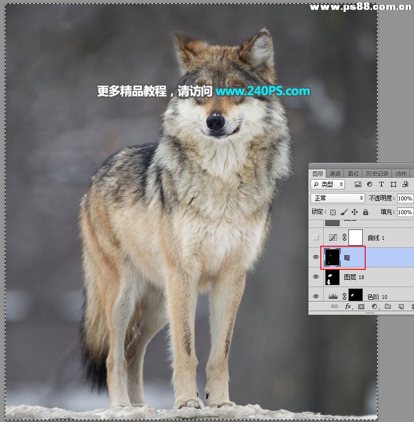 Photoshop抠出毛茸茸的雪中灰狼,PS教程,