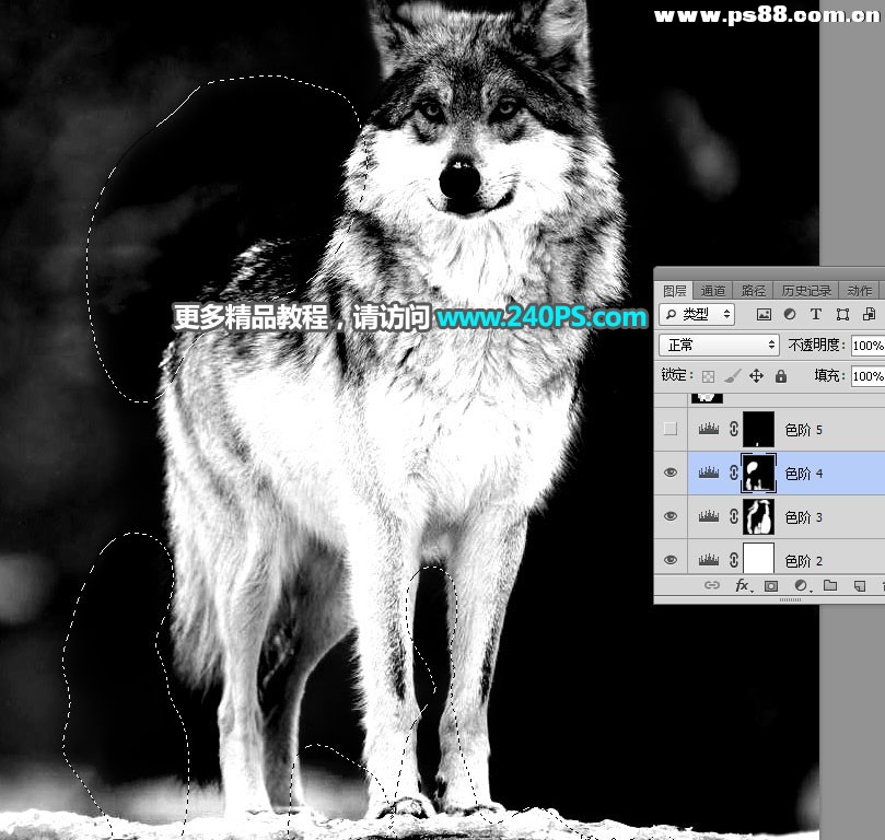 Photoshop抠出毛茸茸的雪中灰狼,PS教程,