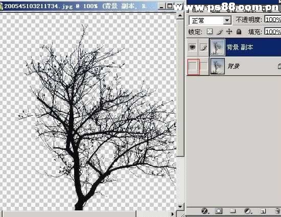 Photoshop抠图教程：树枝抠图方法教程综述