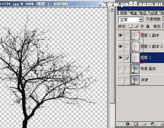 Photoshop抠图教程：树枝抠图方法教程综述