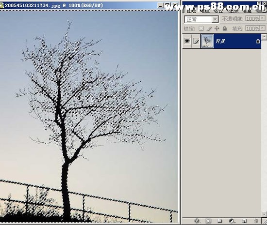 Photoshop抠图教程：树枝抠图方法教程综述