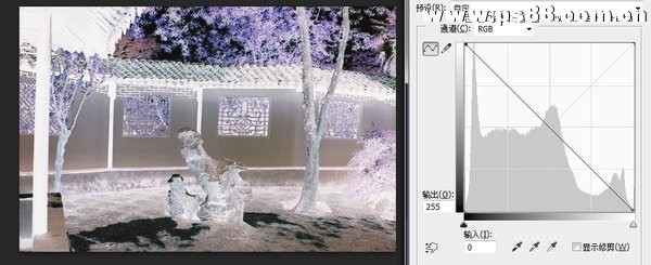 Photoshop通过实例解析曲线工具使用技巧,PS教程