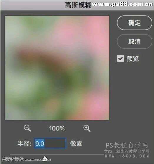 用PS结合LR调出唯美小清新效果人像照片的Photoshop照片调色教程