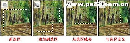 photoshop选区工具之选框工具使用教程