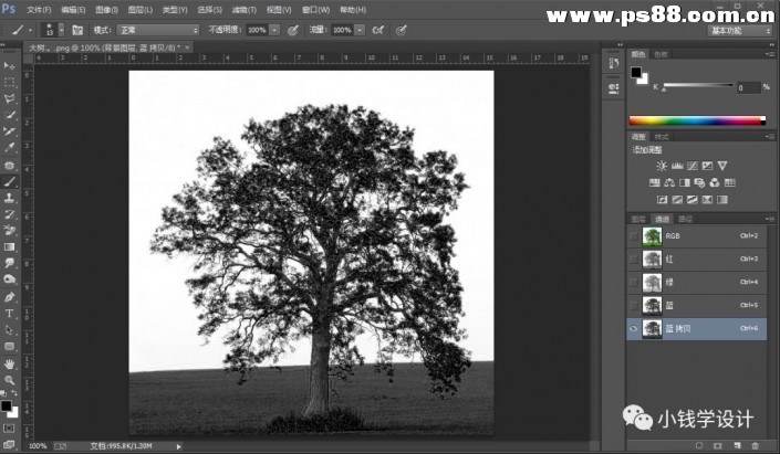通道抠图，使用PS通道抠出大树图片教程