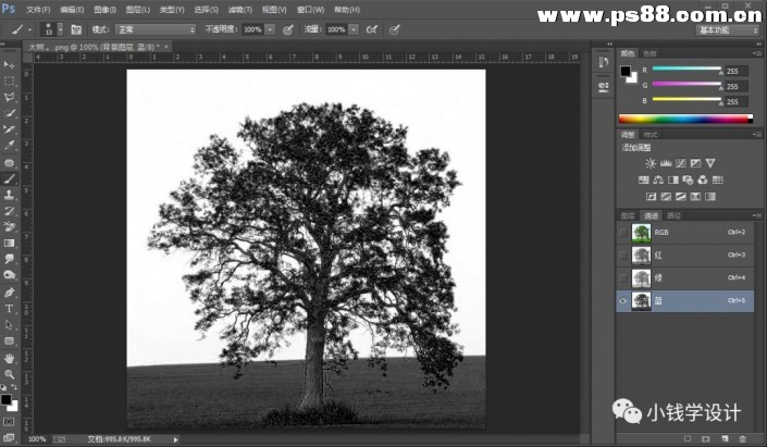 通道抠图，使用PS通道抠出大树图片教程