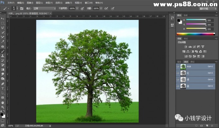 通道抠图，使用PS通道抠出大树图片教程