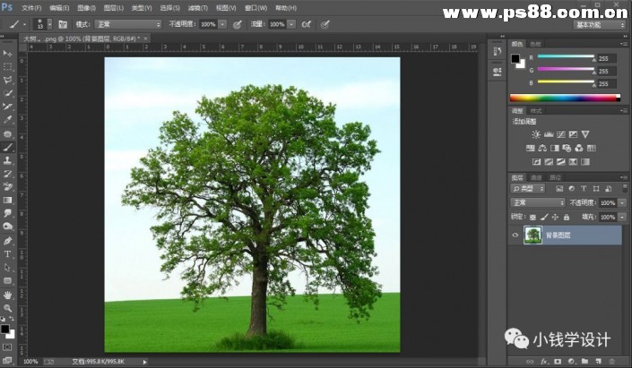 通道抠图，使用PS通道抠出大树图片教程