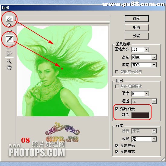 Photoshop抽出滤镜抠出飘逸头发丝图片教程