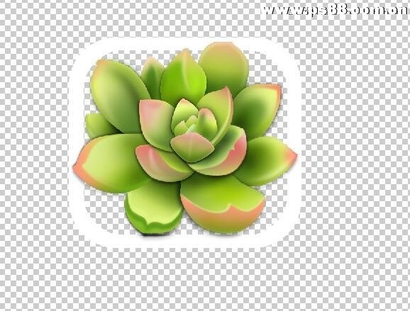 Photoshop详解多肉植物拟物化ICON绘制