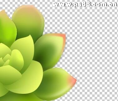 Photoshop详解多肉植物拟物化ICON绘制