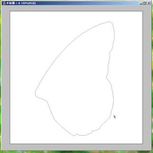 Photoshop鼠绘插画详细解说教程之蝴蝶